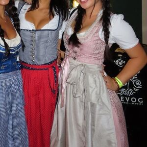 Pink and Gray Dirndl Dress